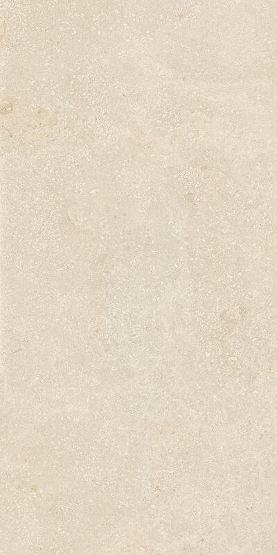 AUTHENTIC MONTPELLIER MATTE LEATHER 60x120 RET