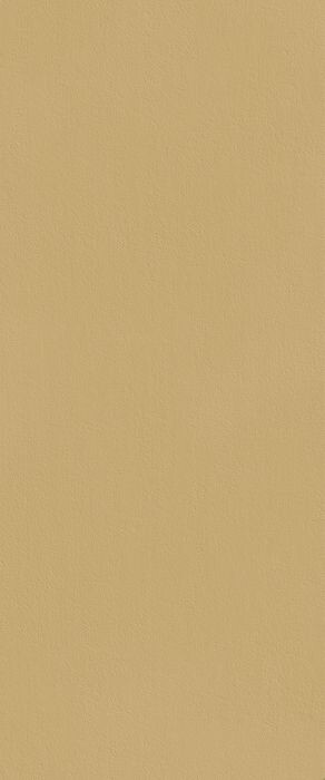 TRUE COLOR 50X120 CARAMEL MATT