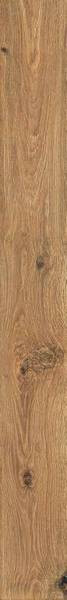 ROOTS 20X180 GOLD MATT R9