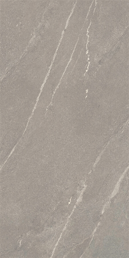 60X120 TIGER MATTE GREY RECT POR TILE