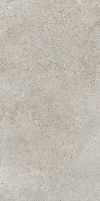 Brystone GREY 60X120 R10 RT