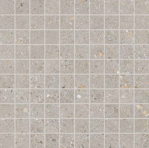 District SILVER MOSAICO 30X30 R10 ASS