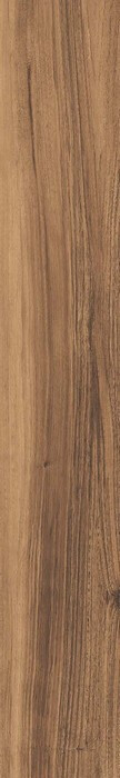 Evoke BROWN 20X120 SC. RT
