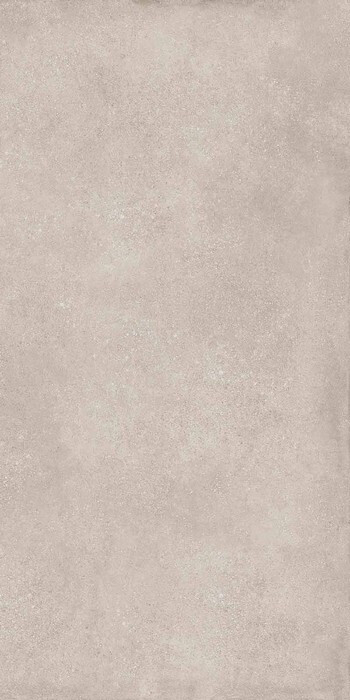 Geo SILVER 60X120 R9 RT