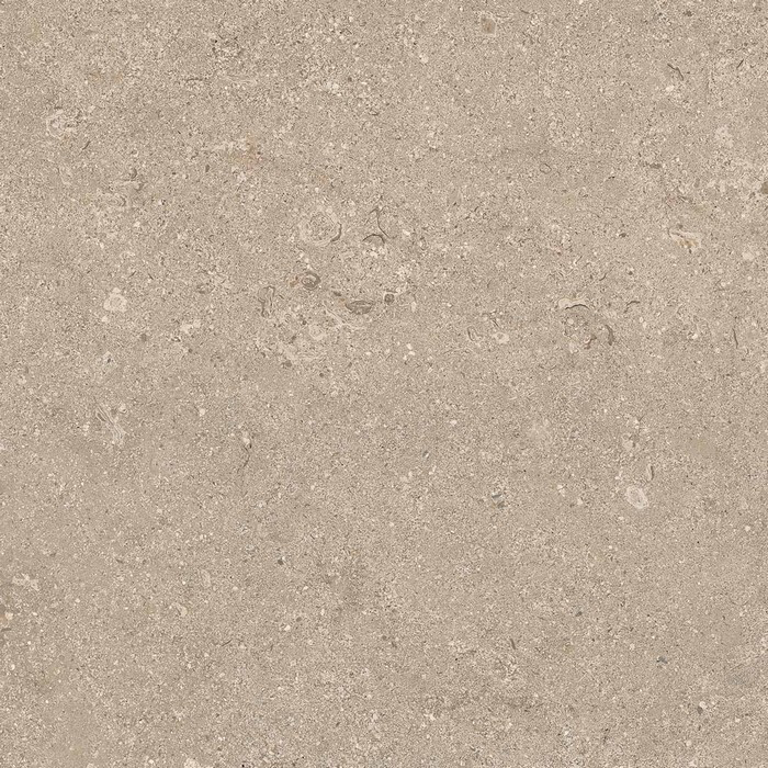 Heritage BEIGE 60X60 R11 RT