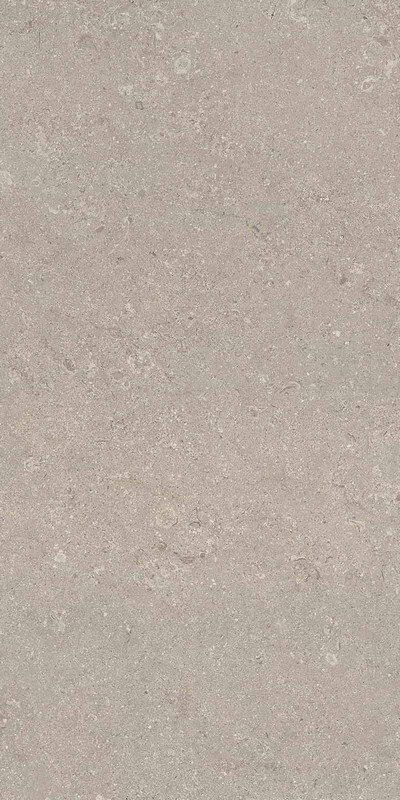 Heritage GREY 60X120 R10 RT