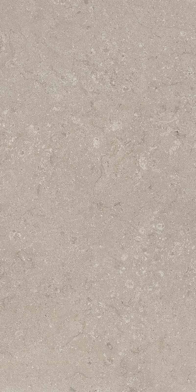 Heritage GREY 60X120X2 SP RT