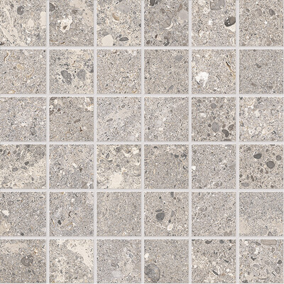 Omnia Devix Greige  Mosaico T5 30X30 ASS