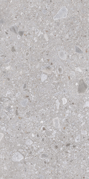 Omnia Ceppo Grey 60X120X2 SP RT