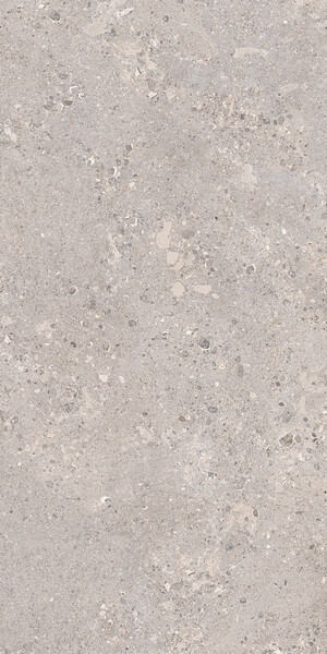 Omnia Devix Greige  60X120X2 SP RT