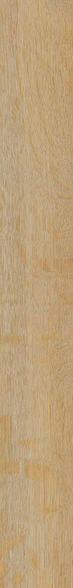 Unica Honey 7,5X60 R9