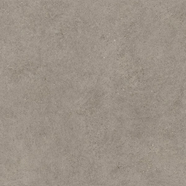 Forte Dei Marmi Rock Lunar Grey Rett 120x120