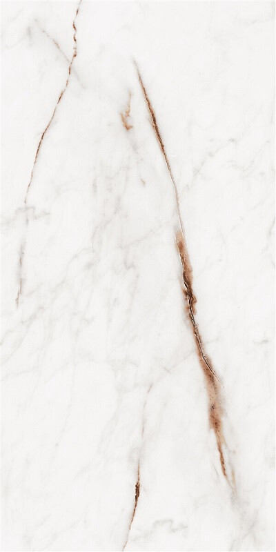 60X120 OSSO BEIGE POLISHED REC.POR.TILE