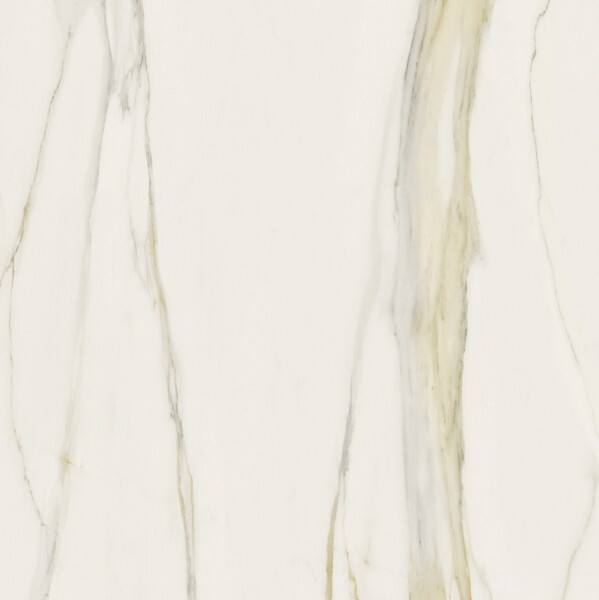 I CLASSICI CALACATTA GOLD 6MM MATTE 120X120 R