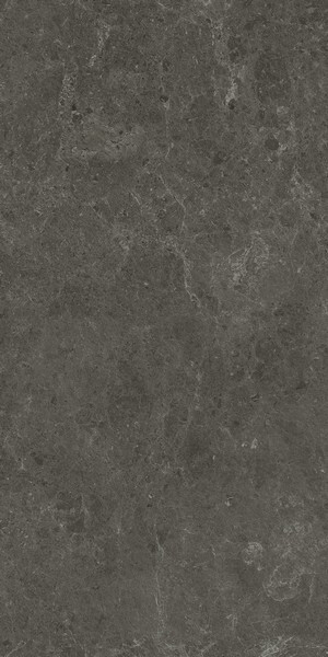 Nyra Charcoal 60x120