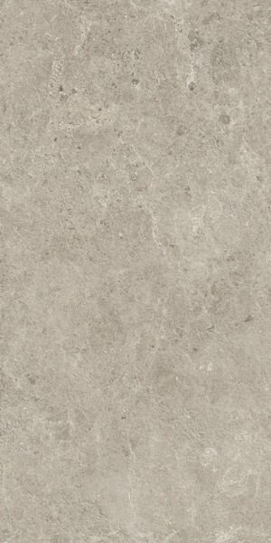 Nyra Mist 60x120 - 20mm