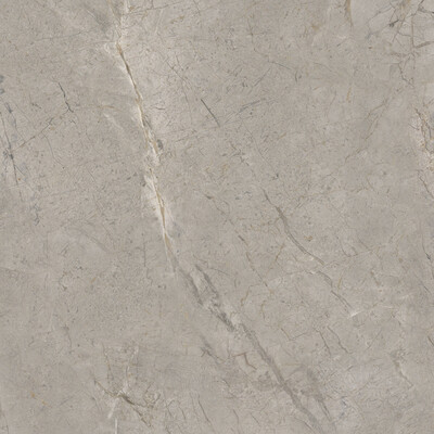 Elements Lux Silver Grey Lappato 120X120