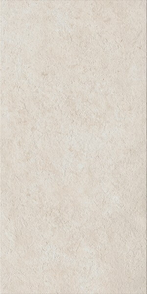 Fossil Pure 60X120 Ret X2