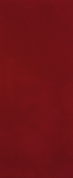 MATERIA BRILLANTE 50X120 BORGOGNA BRILLANTE
