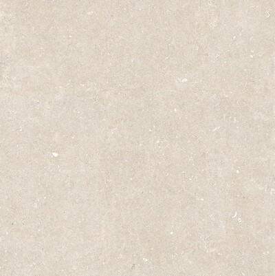 RINASCENZA ARENA BIANCO MATTE 6MM 120X120