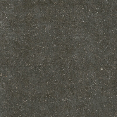 RINASCENZA ARENA PLATINO MATTE 6MM 120X120