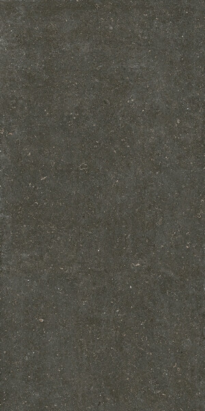 RINASCENZA ARENA PLATINO MATTE 6MM 120X240