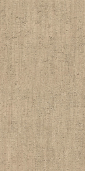 RINASCENZA MODULO CONCHIGLIA MATTE 6MM 120X240