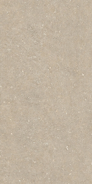 RINASCENZA ARENA CONCHIGLIA MATTE 6MM 60X120