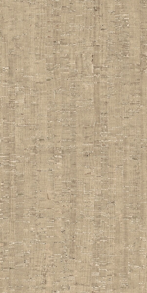 RINASCENZA MODULO CONCHIGLIA MATTE 6MM 60X120