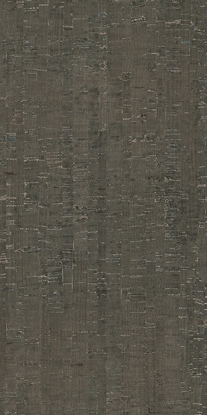 RINASCENZA MODULO PLATINO MATTE 6MM 60X120