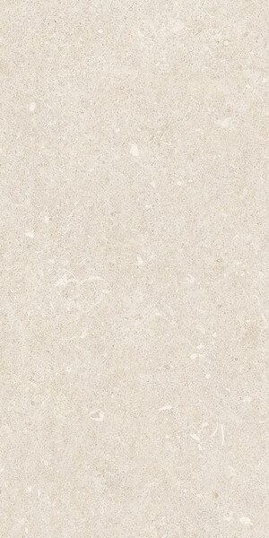 RINASCENZA ARENA BIANCO MATTE 30x60 RET