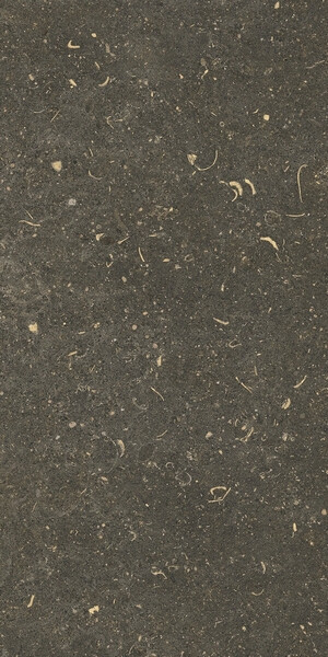 RINASCENZA ARENA PLATINO MATTE 30x60 RET