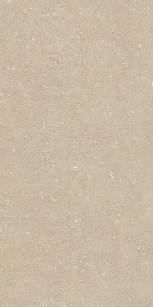 RINASCENZA ARENA CONCHIGLIA MATTE 60x120 RET