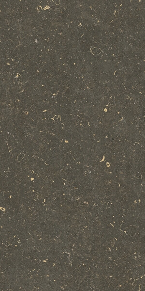 RINASCENZA ARENA PLATINO MATTE 60x120 RET