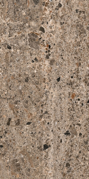 RINASCENZA BASAMENTO TERRA MATTE 60X120