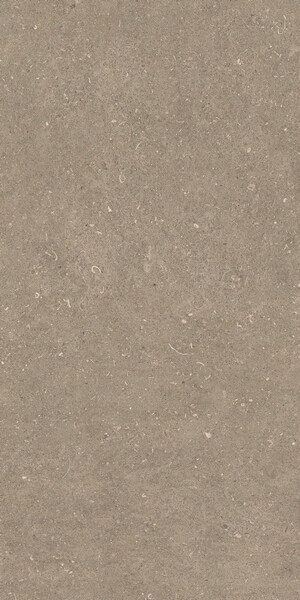 RINASCENZA ARENA PIETRA GRIP 20MM 60x120 RET