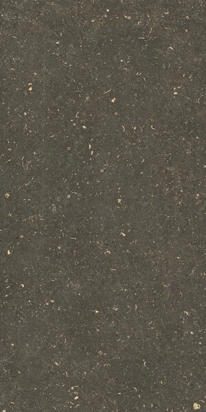 RINASCENZA ARENA PLATINO GRIP 20MM 60x120 RET