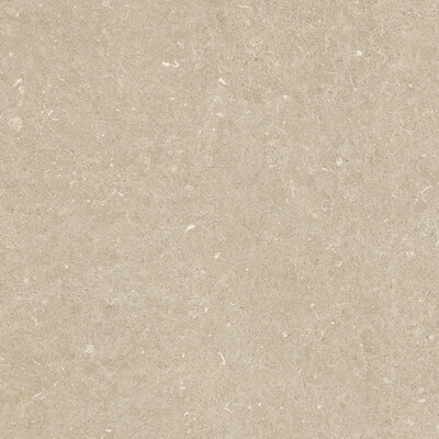 RINASCENZA ARENA CONCHIGLIA MATTE 60x60 RET