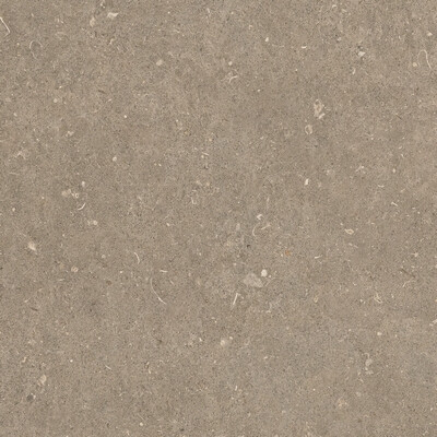 RINASCENZA ARENA PIETRA MATTE 60x60 RET