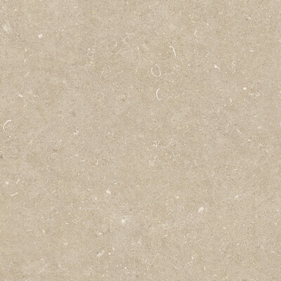 RINASCENZA ARENA CONCHIGLIA GRIP 60x60 RET