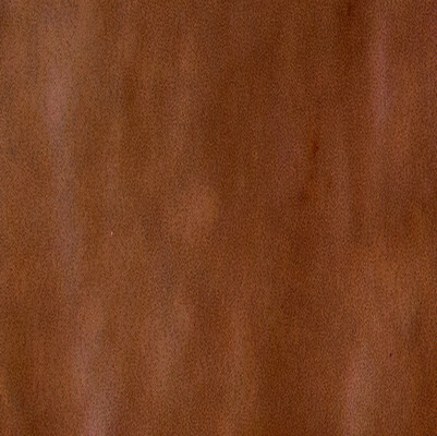 SENSI COLORE MARRONE GLOSSY 11,6X11,6