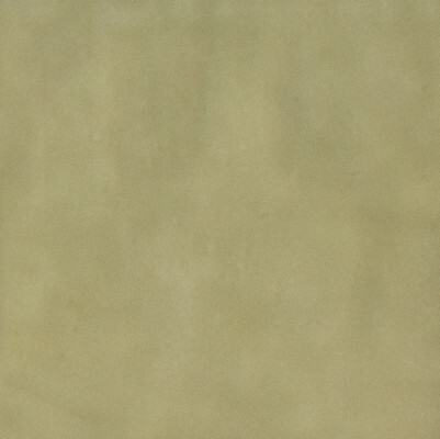 SENSI COLORE SALVIA GLOSSY 11,6X11,6