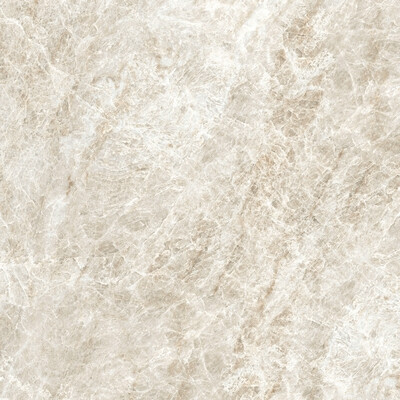 ICONIC LIFE HONEY YAMUNA MATTE 60x60 RET