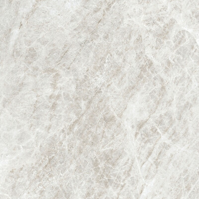 ICONIC LIFE RICE YAMUNA MATTE 80x80 RET