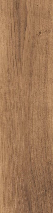Evoke BROWN 30X120X2 SP RT