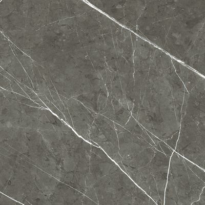 PREXIOUS REX CHARMING AMBER MAT 60X60 R