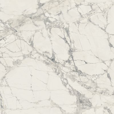 PREXIOUS REX MOUNTAIN TREASURE GLOSSY 60X60 R
