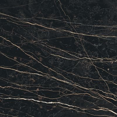 PREXIOUS REX THUNDER NIGHT GLOSSY 60X60 R