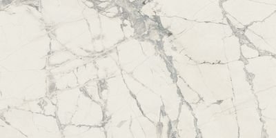 PREXIOUS REX MOUNTAIN TREASURE GLO30X60 R
