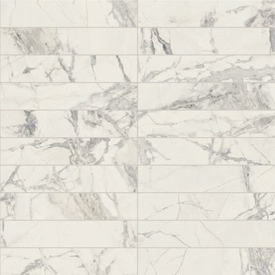 PREXIOUS REX MOUNTAIN TREASURE MOS.3X15 GLOSSY